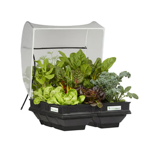 Vegepod Raised Garden Beds