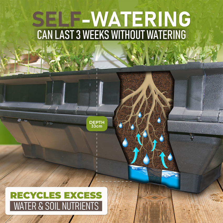 Self watering