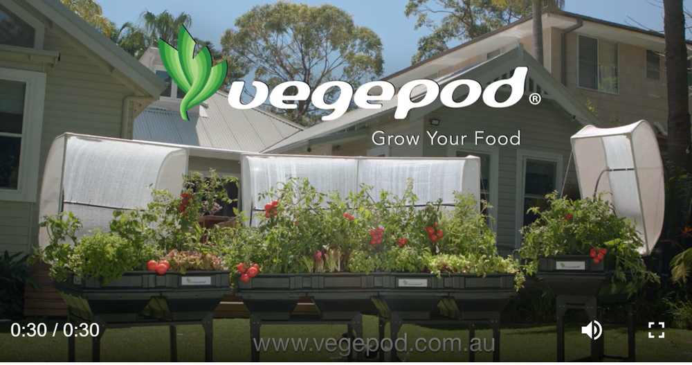 Vegepod's first TV commercial!