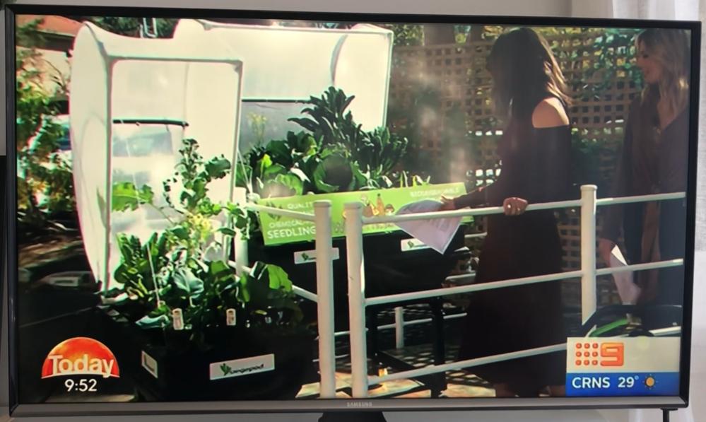 Jamie Durie's Gardening Tips