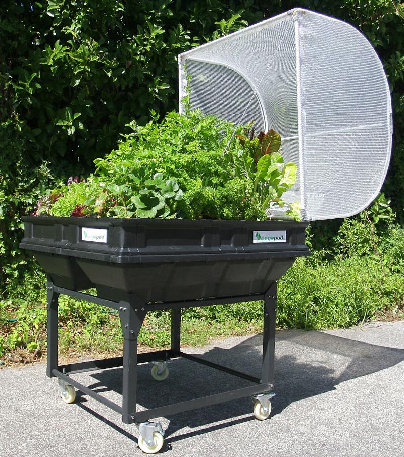 Medium Vegepod growing vegetables on trolley wheels