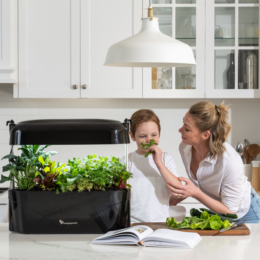 Family pulling herbs from a Kitchen Garden